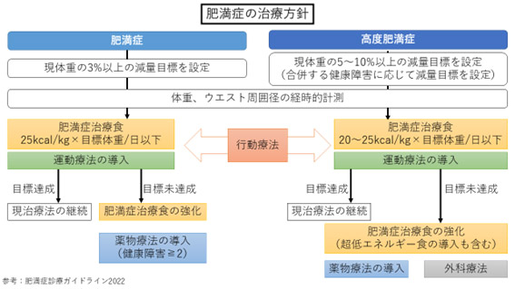 肥満症の治療方針